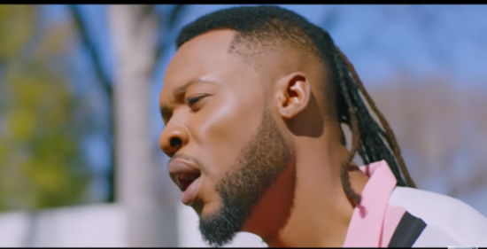 Download Flavour  Someone Like You Video Download