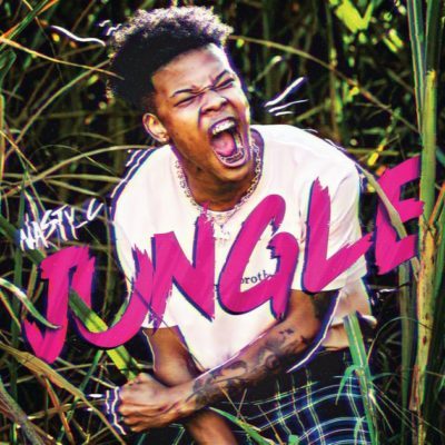 Download  Nasty C Jungle Mp3 Download