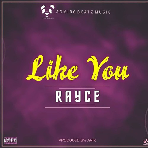 Download Rayce Like You Mp3 Download