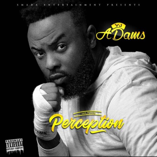 Download Vj Adams When a Man Cries II ft Praiz Mp3 Download