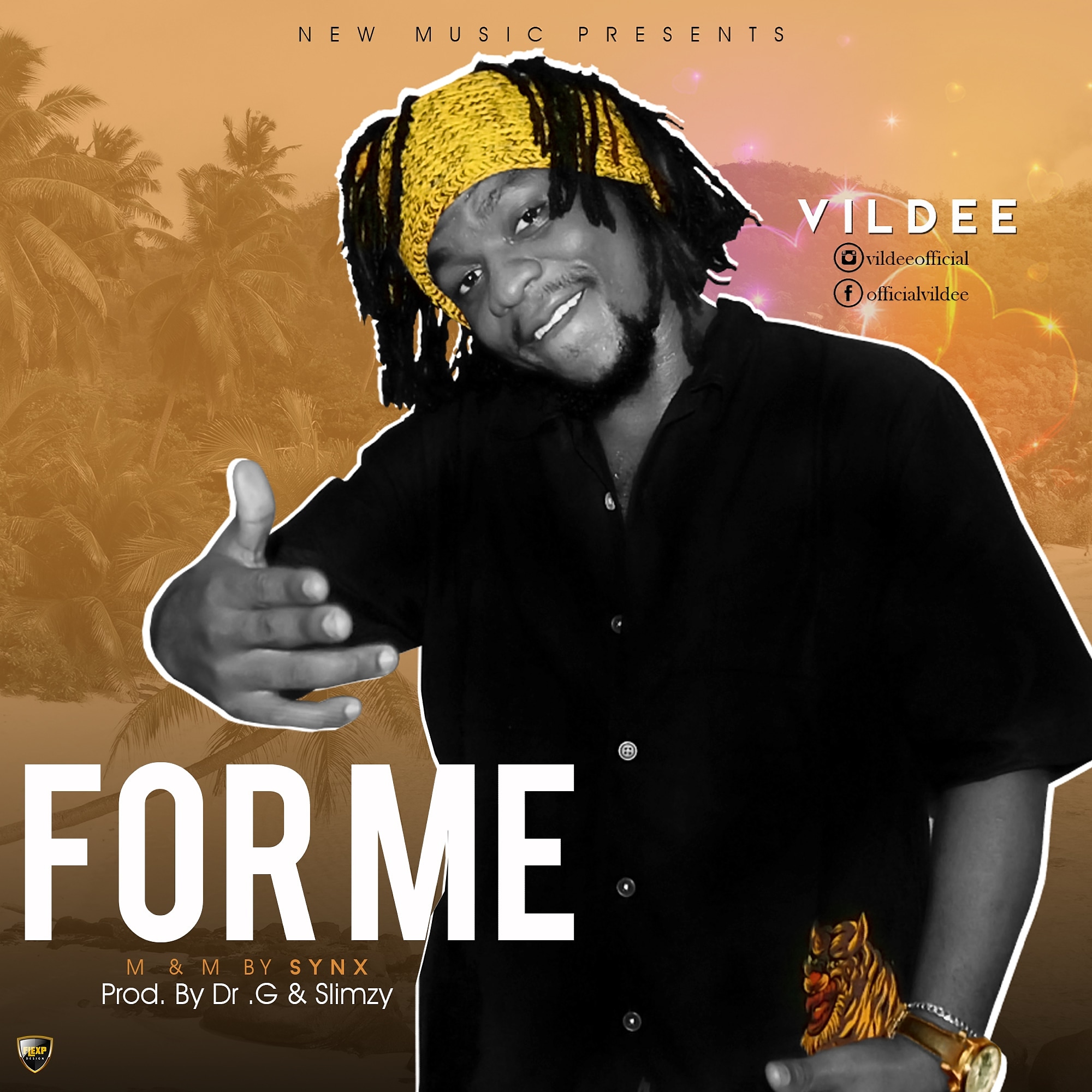 Download Vildee For Me Mp3 Download