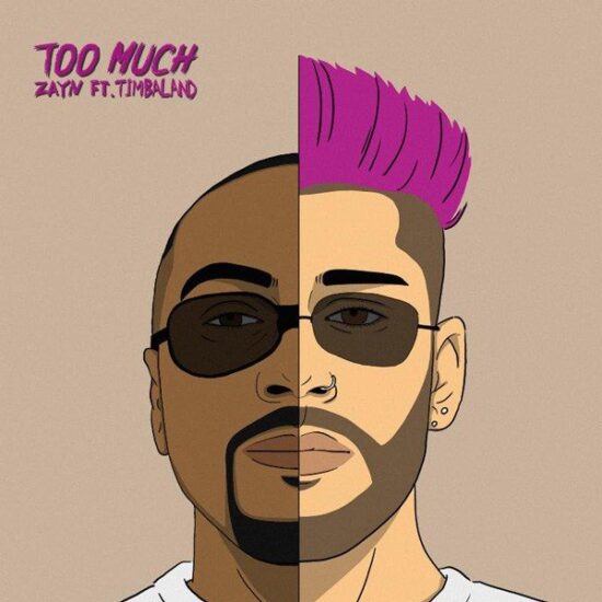 Download Audio Zayn Too Much ft. Timbaland Mp3 Download