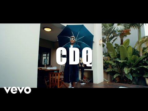 Download CDQ Flex Video Download