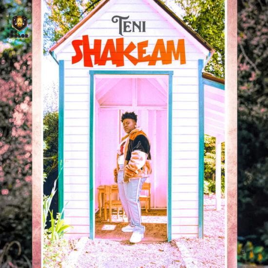 Teni Shake am Mp3 Download