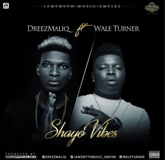 Dreezmaliq ft Wale Turner Shayo Vibes Mp3 Download