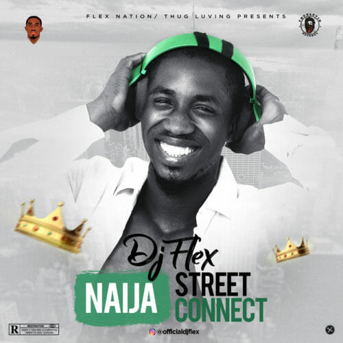 Download DJ Flex Naija Street Connect Mixtape