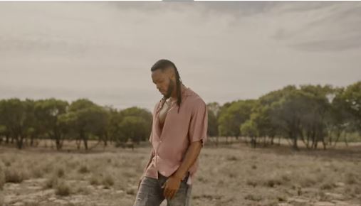 Flavour – Ariva Video Download