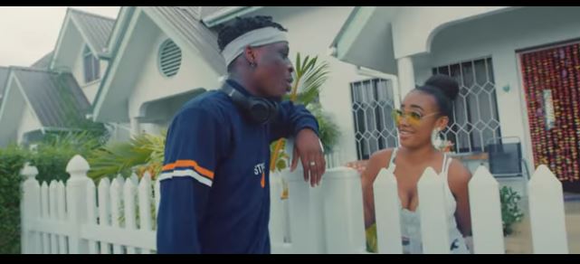 Fireboy DML – What If I Say Video Download