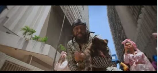 Timaya – 2 Stoopid Video Download