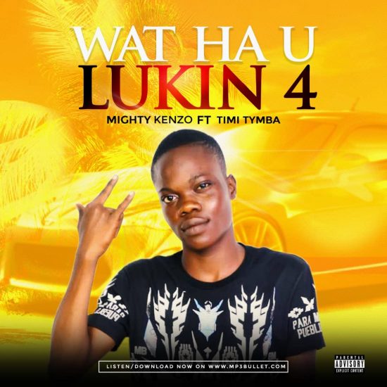 Mighty Kenzo - Wat Ha U Lukin 4 ft. Timi Tymba