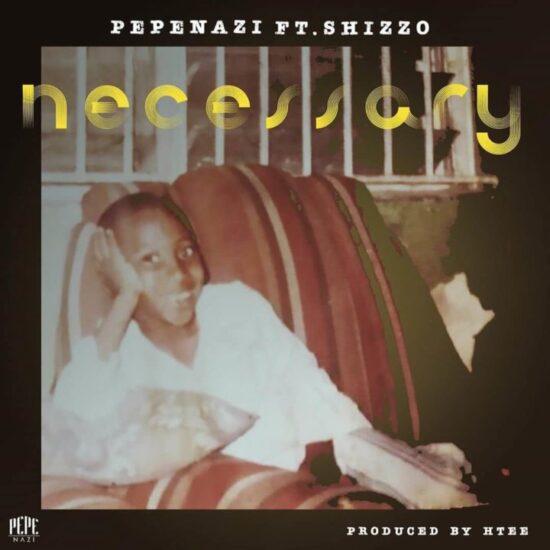 Pepenazi – Necessary ft. Shizzo Mp3 Download