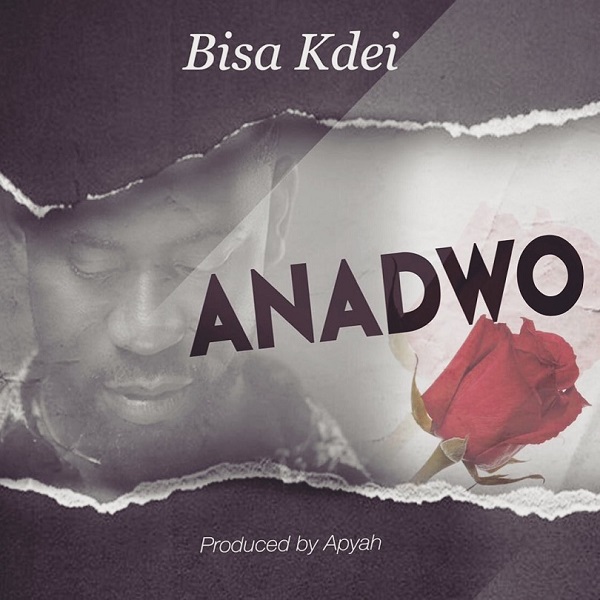 Bisa Kdei – Anadwo Mp3 Download