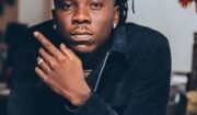 Fans applaud Stonebwoy for stopping a fan from filming a dancer's ass.