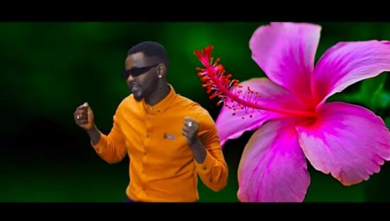 Kizz Daniel - Ada Mp4 Video