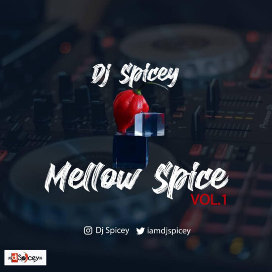 DJ Spicey - Mellow Spice Mix Vol. 1