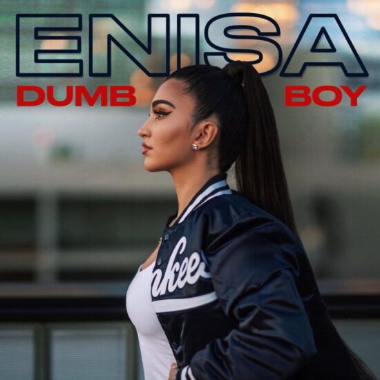 ENISA – Dumb Boy