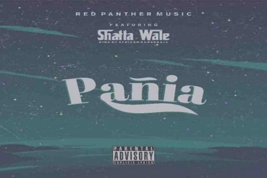 Shatta Wale - Panai