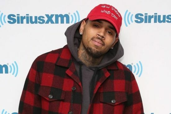 Chris Brown sued for over $1 Million after his dog attacked his maid