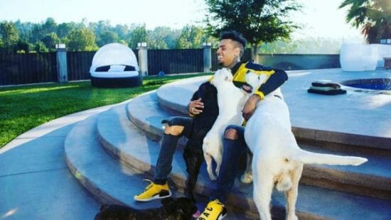 Chris Brown sued for over $1 Million after his dog attacked his maid