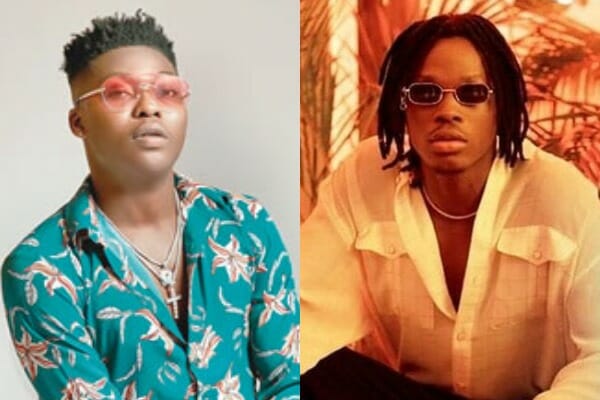 Fans react to Reekado Banks & Fireboy's Ozumba Mbadiwe remix