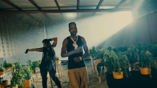 Naira Marley - Kojosese video..