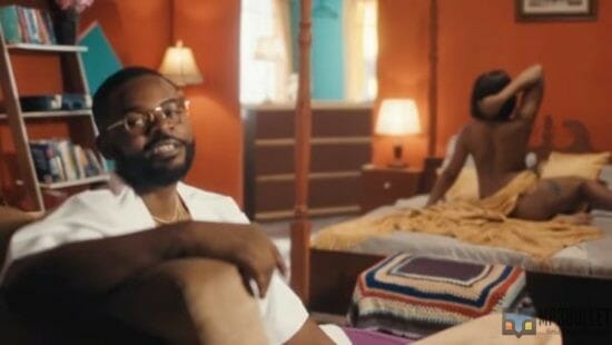 Falz ft BNXN - Want You video