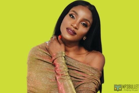 Seyi Shay reacts as curious fans inquire about the identity of her baby daddy