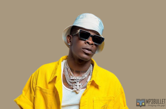 Shatta Wale mocks Nigeria for failing to qualify for 2022 World Cup