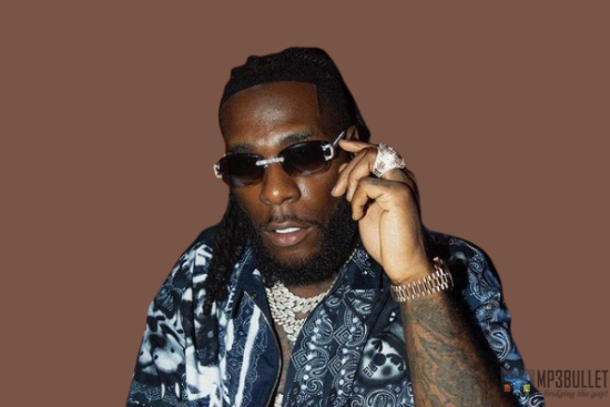 Burna Boy gives a message to those who try too hard to be perfect