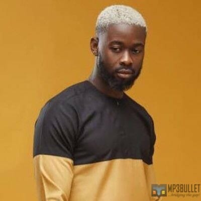 Nigerian producers who have debuted studio projects