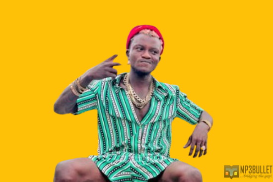Portable gives Headies Organizers stern warning, shades other artists nominated