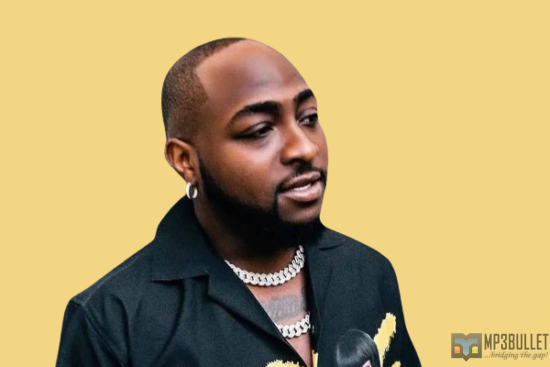 Davido constructs Osun Osogbo sacred grove on stage for his New York concert