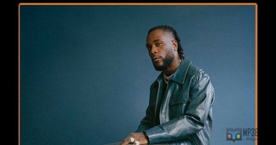 Nigerian Police issues statement on the Nighclub shooting incident involving Burna boy