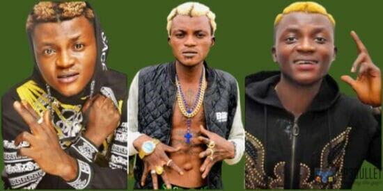 Portable's aide crushes bike rider to death with Singer's car