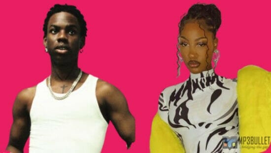 Rema crushes on Tems as he makes her his Twitter profile display