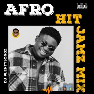 DJ PlentySongz - Afro Hit Jamz Mixtape