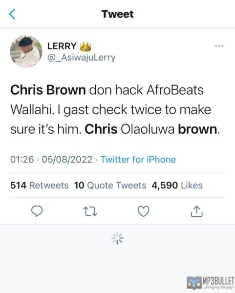 Nigerians praise Chris Brown for featuring on Nigerian artiste tracks