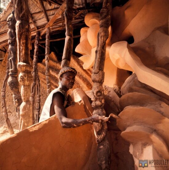 Google Arts & Culture and Partners Establish a Digital Library to Preserve the Osun Osogbo Sacred Grove