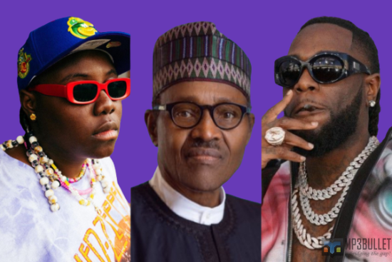 Burna Boy, 2Baba, and Teni receive national honours from Buhari