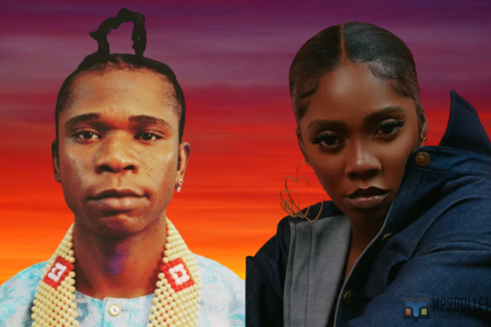 Speed Darlington slams Tiwa Savage for singing about her leaked tape.