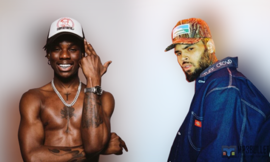 Chris Brown reacts as Rema praises him in an interview