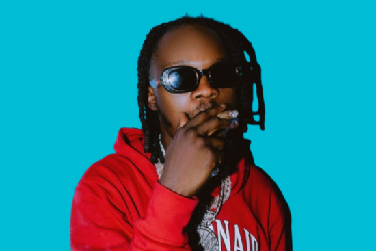 Naira Marley flaunts his newest acquisition, his tenth mansion.