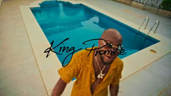 King Promise - Put You On Video