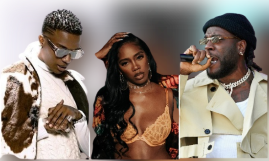 Burna Boy, Wizkid & Tiwa Savage react to Hilda Baci's world record cooking marathon