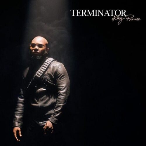 King Promise – Terminator