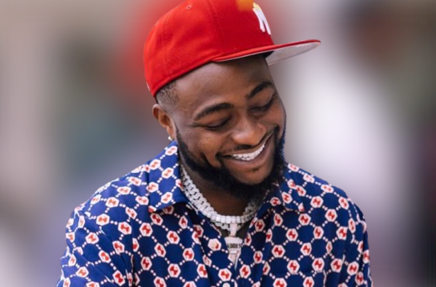 Davido blasts tweep as they trade words on Twitter over Nigeria politics