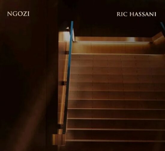 Ric-Hassani-Ngozi