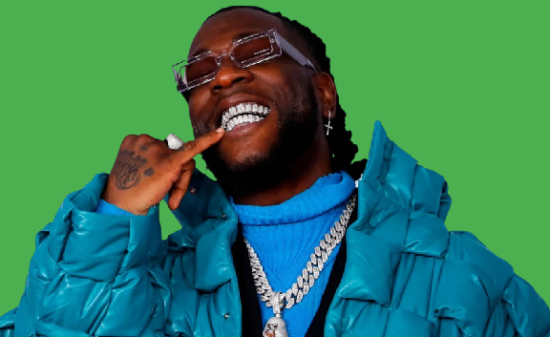 I'm willing to pay Nigeian blogs to forget about me - Burna Boy