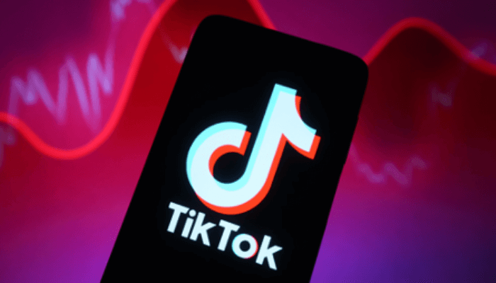 TikTok for Artists officially launches in Nigeria